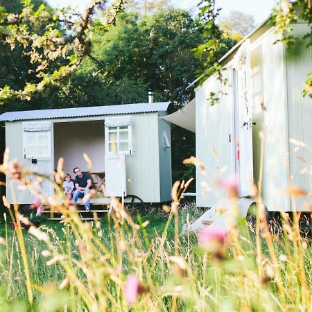 Snowdonia Shepherds' Huts Conwy Eksteriør bilde