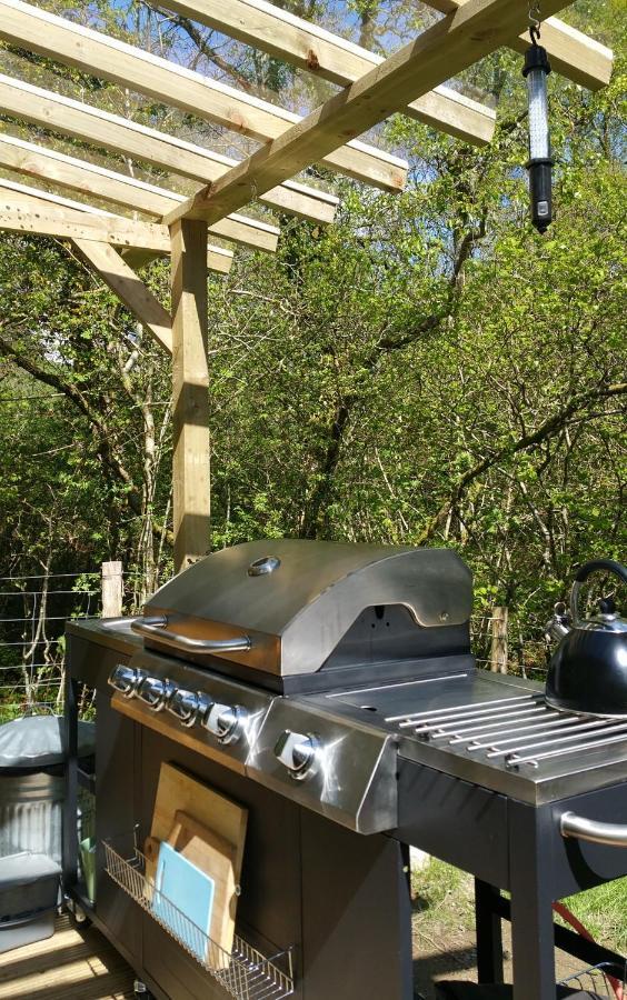 Snowdonia Shepherds' Huts Conwy Eksteriør bilde